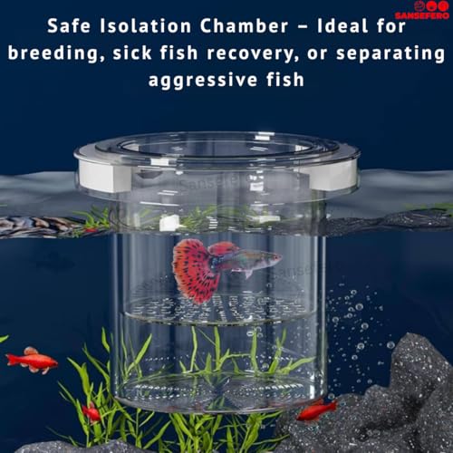 Image of SANSEFERO Floating Breeder Box for Fish Tank in Double Layer Foam Collar Floating Incubator for Aquarium with Clear View Fry Protection Fish Breeder Box for Betta,Guppy & Small Fishes (12 Cm)