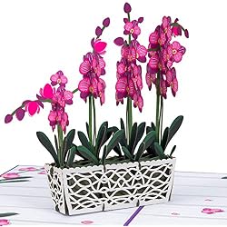 Paper Love 3D Pop Up Orchids Card, Gift for Birthday, Wedding, Anniversary, Thank You, Get Well, Valentines Day, Mothers Day & All Occasions, 5