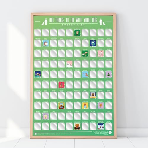 100 Things To do With Your Dog Poster - Activities