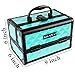 SHANY Chic Makeup Train Case Cosmetic Box Portable Makeup Case Cosmetics Beauty Organizer Jewelry storage with Locks, Multi trays Makeup Storage Box with Makeup Mirror - Turquoise