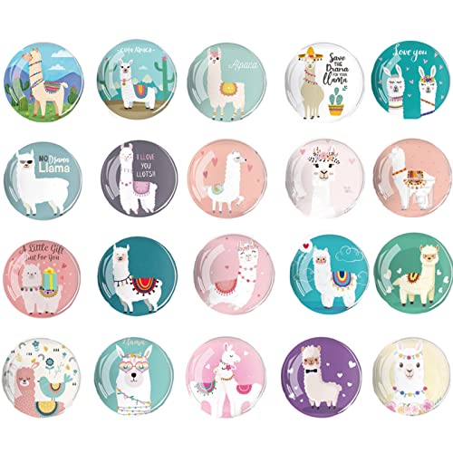 Canzoon Kühlschrankmagnete Alpaka Glas 20Pcs 3D Magnete Kühlschrank 30Mm Dekorative Magnete Für Kühlschrank Whiteboards Büro Schränke Magnettafel Cover