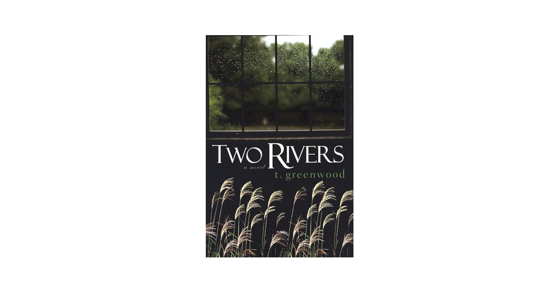 洋書 TWO RIVERS 洋書 TWO RIVERS 洋書 TWO RIVERS Down the River (The Two