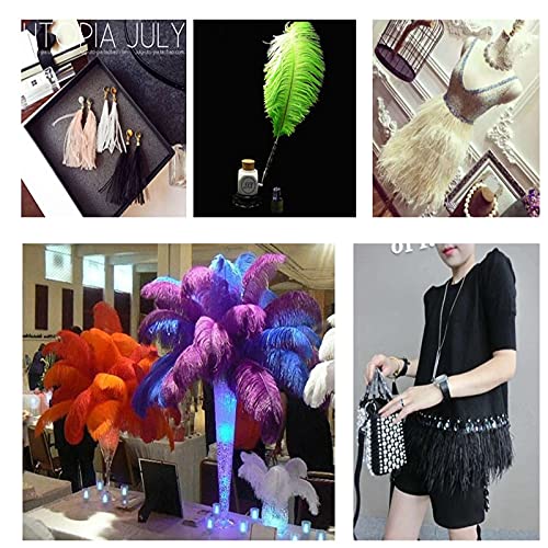 Plume d'autruche artisanat DIY décoration mariage 25-30cm plumes d'aiguille douces lot de 10 - 7