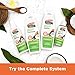 Palmer's Coconut Oil Formula Conditioning Shampoo 400ml