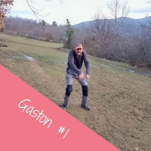 GASTON #1