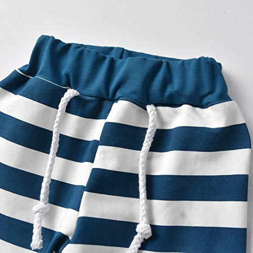 Image of Toddler Infant Baby Boy Clothes Animal Style Long Sleeve Hoodie Tops Sweatsuit Pants Outfit Set