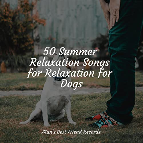 50 Summer Relaxation Songs for Relaxation for Dogs by Jazz Music for