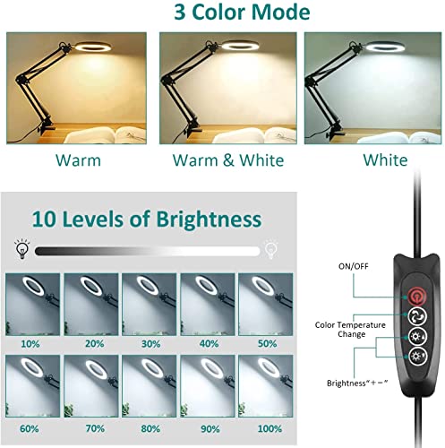 XinYun Lampada d'ingrandimento a LED, 5X lente