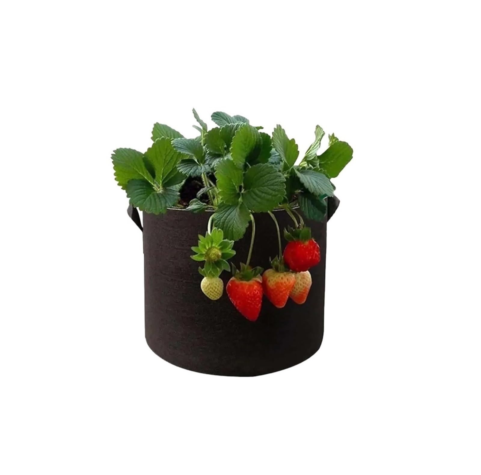 GIYXHU 2 Pc Plant Cultivation Bag, Foldable Black Gallon - Suitable For Planting Fresh Flowers And Plants for Flowers Vegetables