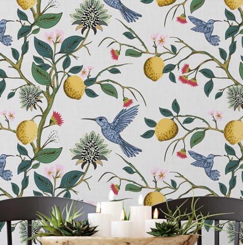 Solution de décoration facile avec papier peint autocollant colibri - 2