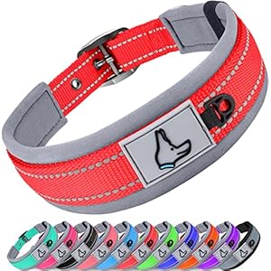 Joytale Dog Collar, Soft Padded Neoprene Wide Dog Collar for Medium Dogs, Adjustable and Reflective Nylon Dog Collar, Red