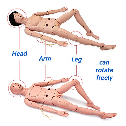 MZBZYU Geriatric Training Manikin Patient Care Skills Mannequin with Interchangeable Genitals and Bedsore Modules for Nursing Medical Training Teaching Medical Supplies,Male