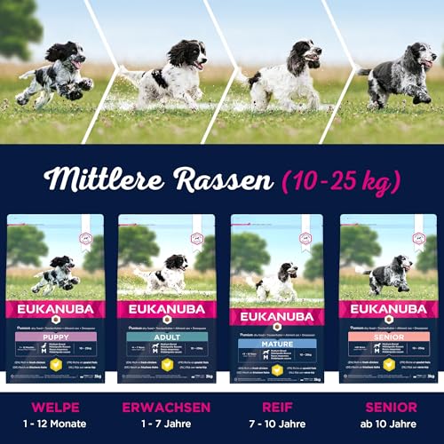 Eukanuba Welpenfutter mit frischem Huhn für mittelgroße Rassen, Premium Trockenfutter für Junior Hunde, 15 kg
