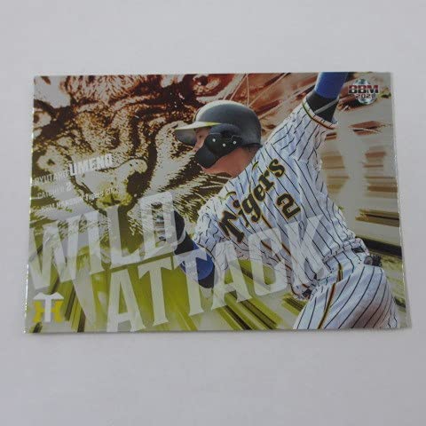 BBM2021_^CK[XCT[gJ[h/Wild AttackWA5/~엲Y x[X{[J[h