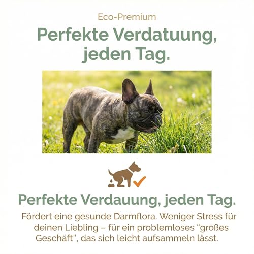 Naturpfötchen Umweltbewusst & Vital 5kg Insektenprotein Hypoallergenes Hundefutter Kaltgepresst & Getreidefre Markus Mühle Nachhaltiges Trockenfutter für Sensible Hunde Aller Rassen Natürlich(1x5kg)