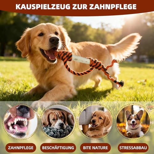 KLINNA 2 Stück Hunde Kaffeeholz Kauknochen | Holzknochen als Hundespielzeug für Natürliche Zahnpflege & Beschäftigung | Robustes Kauholz für Welpen und Kleine Hunde, Kaffeeholz für Kauholz