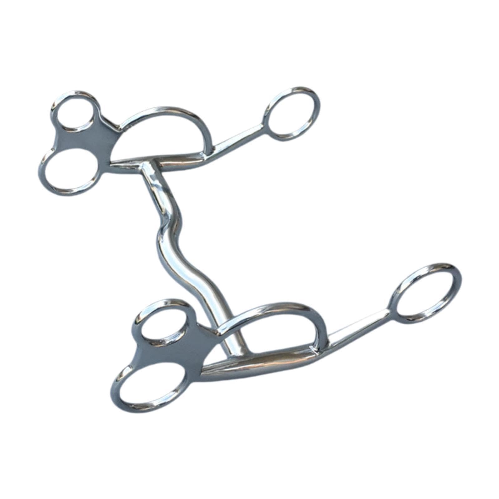 per cavallo in acciaio inossidabile, finitura splendida, di grandi dimensioni, comodo per l'addestramento e l'equitazione, piacevole per gli appassionati, filetto per