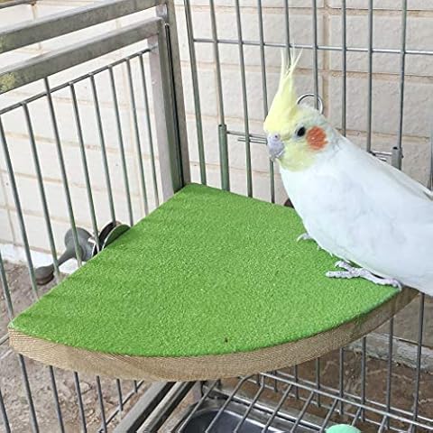 Bird Perch Stand Birdcage Platform for Small Medium Parrot Rat Small Animal (7inch, Green) Cover