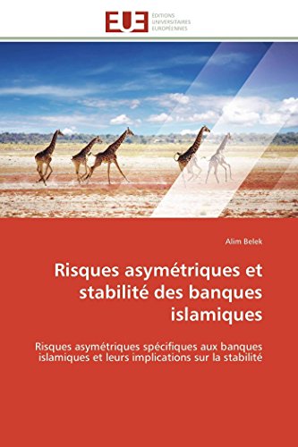 Preisvergleich Produktbild Risques asymétriques et stabilité des banques islamiques: Risques asymétriques spécifiques aux banques islamiques et leurs implications sur la stabilité (Omn.Univ.Europ.)
