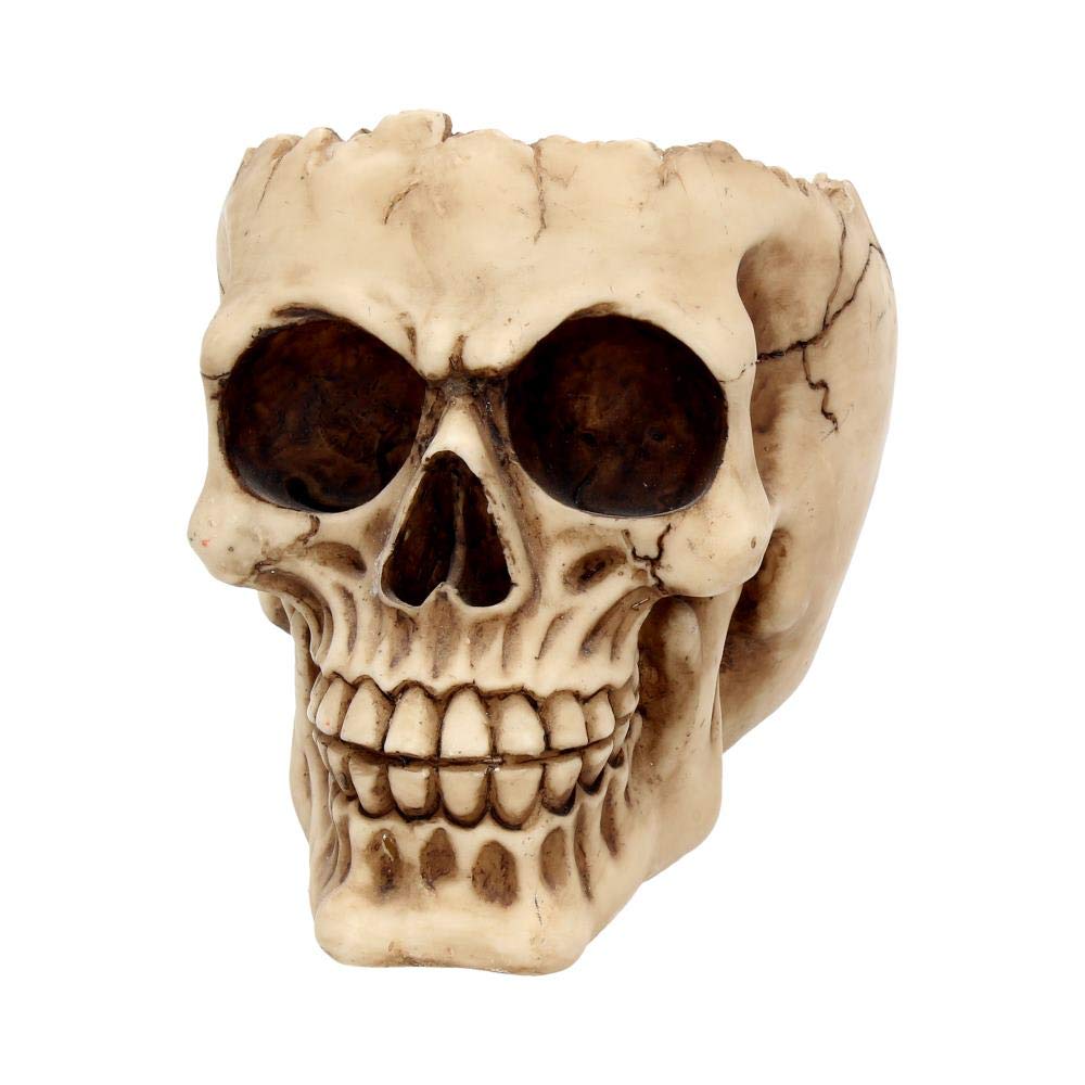 Nemesis Now popielniczka Lobo 13,5 cm w kolorze kości słoniowej