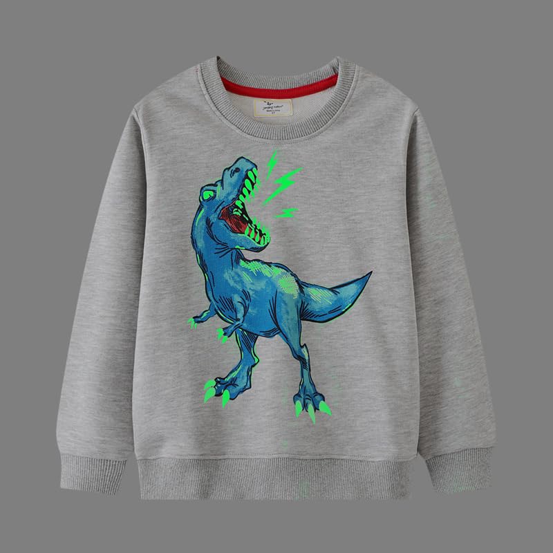 Irsutey Toddler Boys Cotton Sweatshirts Crewneck Dinosaur Pattern Long Sleeve Color Block Casual Trendy Pullover Tops 1-7Y3