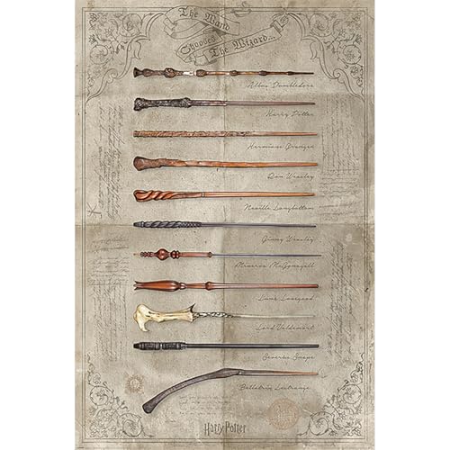 Wizarding World PP34395 Harry Potter Poster The Wand Chooses The Wizard, 61...