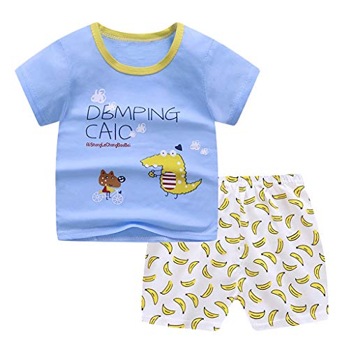 AIMAOMI Toddler Baby Boy Summer Outfit Letter Print Short Sleeve T Shirt Tops Elastic Stripe (Sky Blue, 2-3 Years)