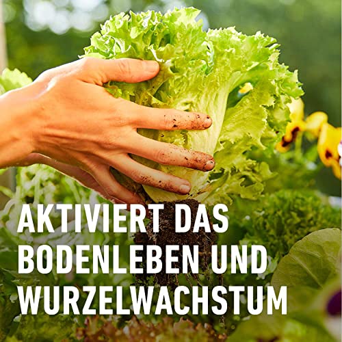 Compo Horn- und Knochenmehl 2,5 kg