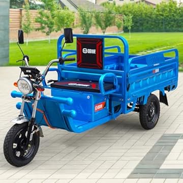 three wheel electric cargo bike