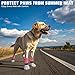 BINGPET 4Pcs Dog Socks to Prevent Licking Paws Double Sides Grips,Dog Shoes for Hot Pavement & Hardwood Floors Anti Slip,Traction Dog Booties and Paw Protectors for Small Medium Large Senior Dogs
