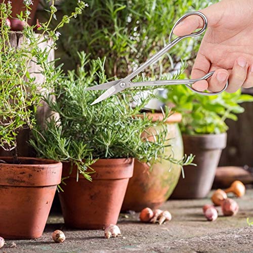 A sixx Edelstahlschere, Bonsai-Schere Bonsai-Scher-Langgriffschere 185 mm Japanisches Bonsai-Gartenwerkzeug-Starter-Kit Tian Bonsai Werkzeuge - Image 3