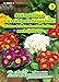 Produktbild Primula acaulis, Primel, Riesen-Selekta, Mischung N.L.Chrestensen Samen