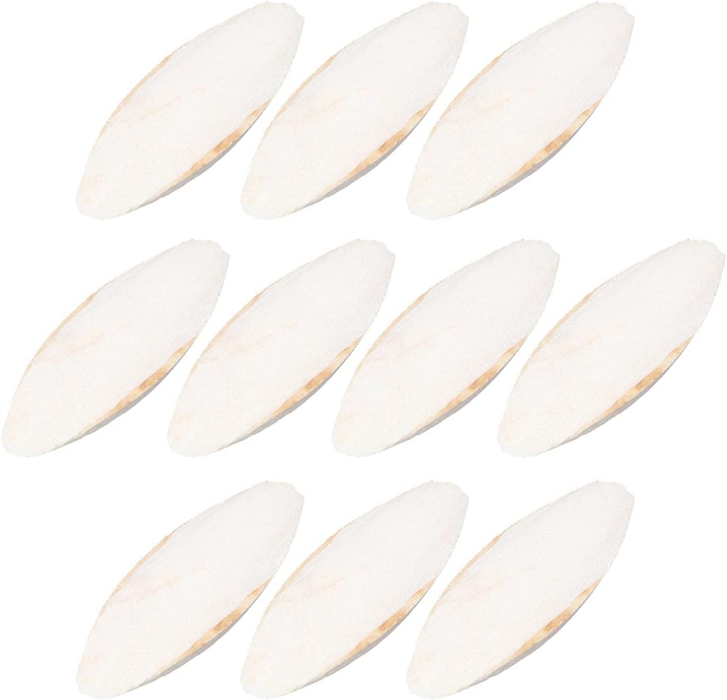 10 Pcs Bird Cuttlebone, Cuttlebone Toy, Cuttlefish Bone For Birds, Parrots Chew Toys Natural Cuttlefish Bone For Snails Tortoise Budgies Cage Birds