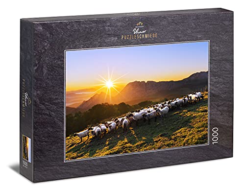 Rendimento del puzzle: il classico puzzle è riuscito a scoprire - con puzzle che non vogliono più stare sulla mensola dei giocattoli. I gioielli del puzzle Ulmer – realizziamo puzzle preferiti