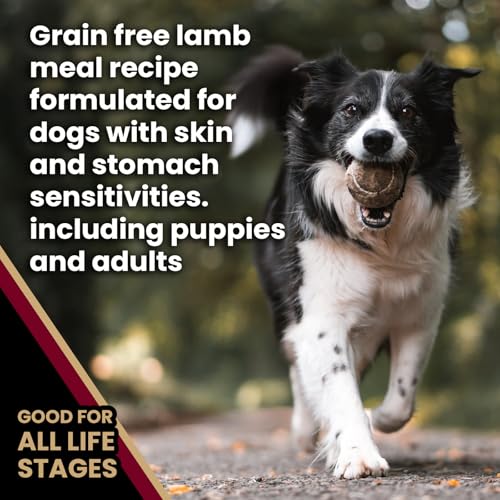 Image of VICTOR Sensitive Skin & Stomach - Lamb Meal & Sweet Potato Dog Food, 5 lb