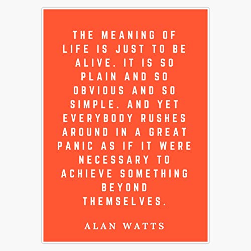 The Meaning of Life Alan Watts Quote Art Sticker Bumper Sticker Vinyl Decal 5'