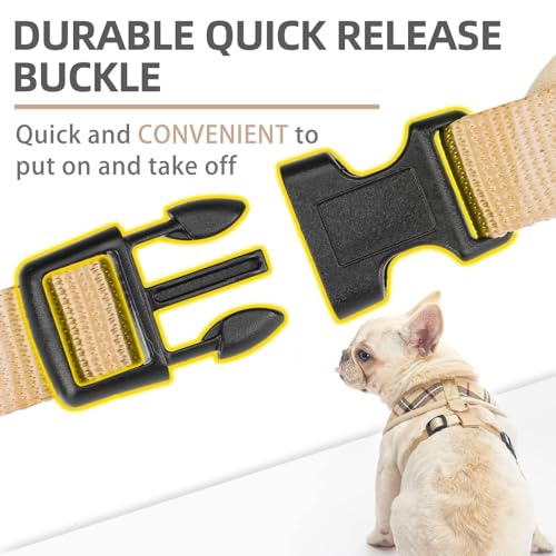 PUPTECK Small Dog Harness and Leash Set No Pull for XS XXS Sized Dogs Puppy | Escape Proof No Choke Pet Cat Adjustable Soft Padded Walking Vest - Image 6