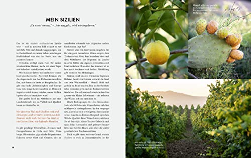 Echt sizilianisch kochen: Ich zeig' euch, wie! - 4