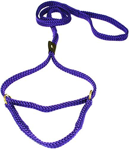 Lone Wolf 5/8 x 6' Flat Braid Martingale Leash Purple