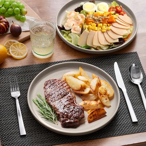 Image of LIANYU 6 PCS Ceramic Dinner Plates Set, 10.5 Inch Round Stoneware Plates, Stackable Dishwasher Microwave Safe Serving Dishes, Milky Brown