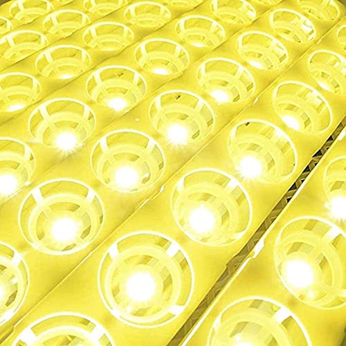 Automatische eiincubator, 32 eieren geleid High-efficiëntie Automatische ei draaien en temperatuurregeling, automatische… - Afbeelding 5