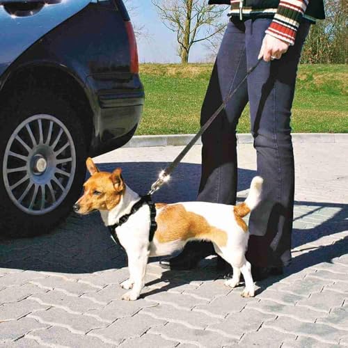 TRIXIE Auto Geschirr Größe S: Brustumfang 30–60 cm/20 mm in schwarz - stufenlos anpassbares Hundegeschirr für das Auto mit verstellbarem Anschnallgurt für kleine Hunde, 1290