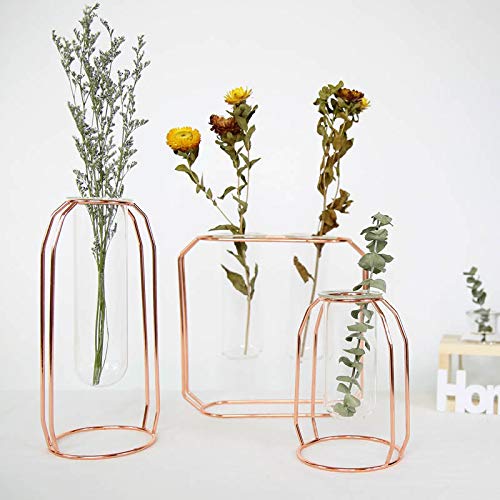 Simple Modern Metal Flower Stand Test Tube Transparent Glass Vase Creative Home Floral hydroponic Flower Arrangement Decoration