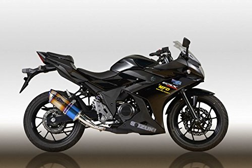 Amazon.co.jp: アールズギア ワイバン リアルスペック スリップオン 