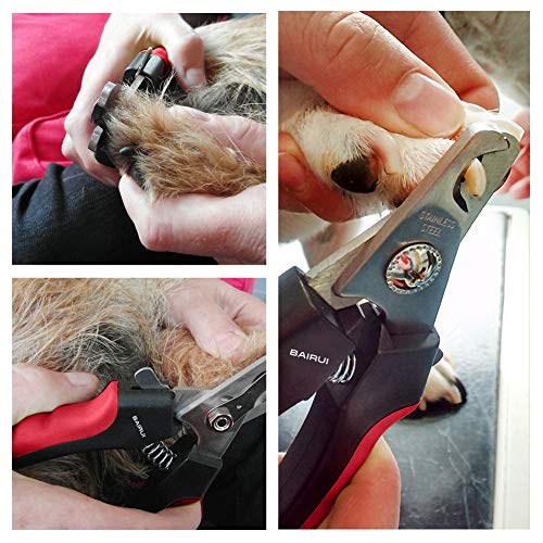 BAIRUI Cortaúñas para perros y cortauñas resistentes para perros grandes, recortadora profesional de uñas para perros y gatos, cortador de uñas de mascotas con protector de seguridad para evitar que - imagen 4
