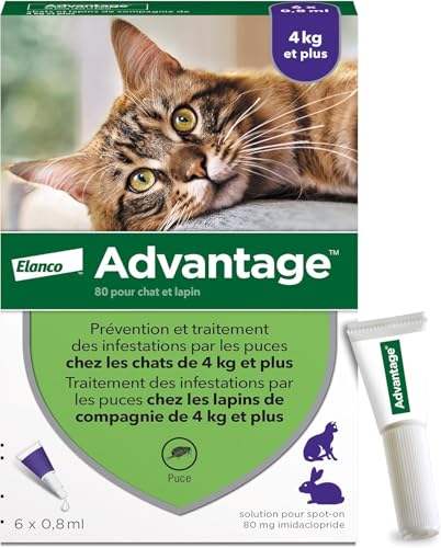Advantage Chat & Lapin de plus de 4 kg – Pipettes anti puces chat pour prévention des infestations – Traitement anti puces lapin pour une protection en continu...