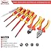 BILITOOLS 1000V Insulated Electrician Screwdriver & Pliers Set - 7pcs Electrical Tools Kit with Magnetic Phillips, Slotted Screwdrivers, VDE & GS Certified