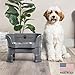 Neater Feeder Deluxe Mess Proof Dog Bowls Elevated Medium Sized Dogs (19-40 lbs) Made in USA, No Spill Raised Dog Food Bowl Stand w/Leg Extension, Stainless Steel Food and Water Bowl Set, Grey