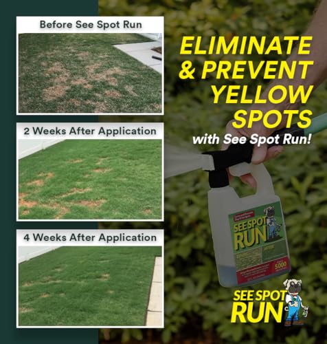 Image of See Spot Run Lawn Protection Concentrate Refill - 64 fl oz Each - Ready-to-Mix Solution for Dog Owners - Lawn Saver - Supports Healthy Soil - Safe for Pets