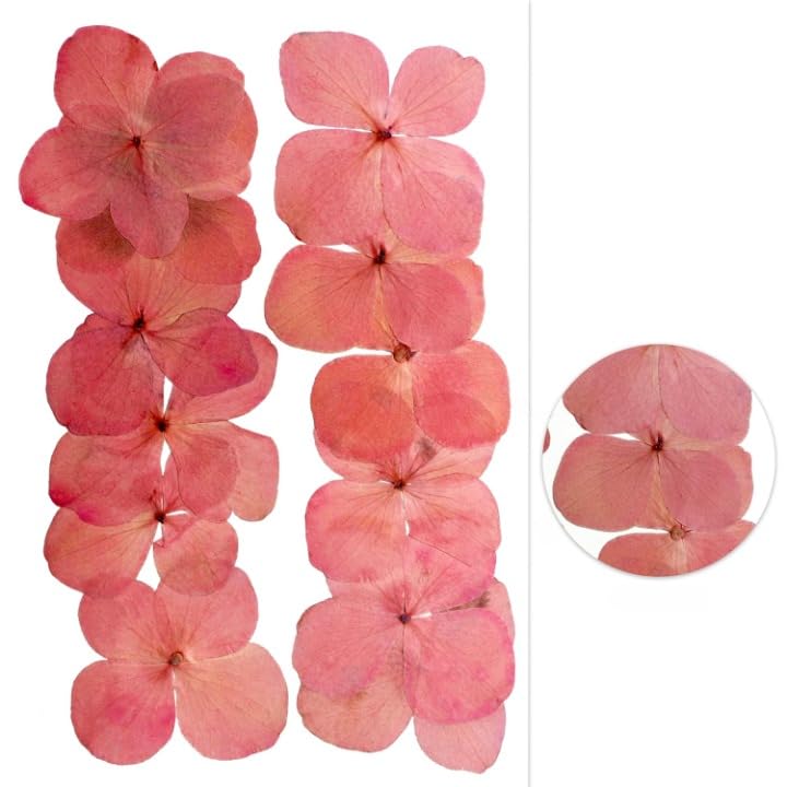 YellowCult Natural Real Dried & Pressed Hydrangeas Flowers for Art Craft - Multicolor for Soap, Candle, Scrapbooking, DIY, Resin Jewelry, Pendant - Hydrangeas Flowers [Luxury Coral Pink]-image-3